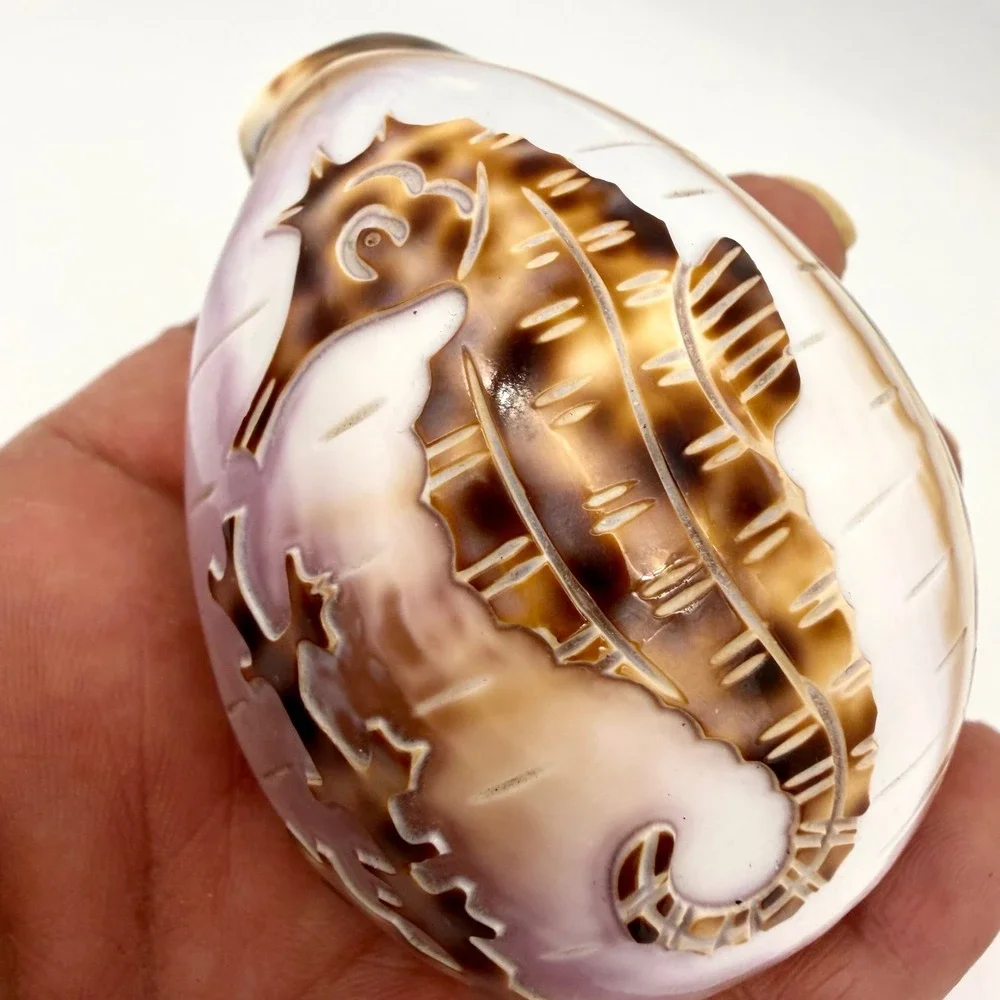 Vintage Carved Tiger Cowrie Shell‎ Pair Pelican Seahorse Cameo Coastal Estate